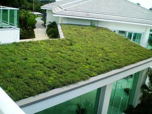 Telhado Verde