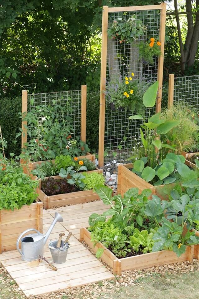Como fazer uma horta pequena