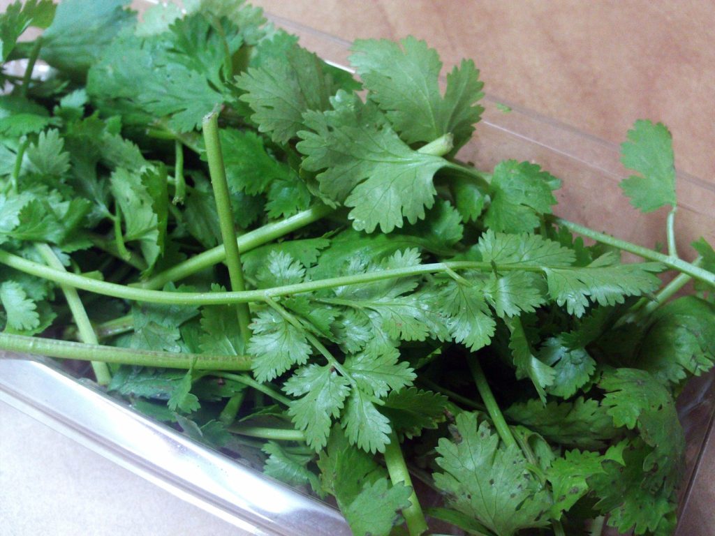 Ervas aromáticas