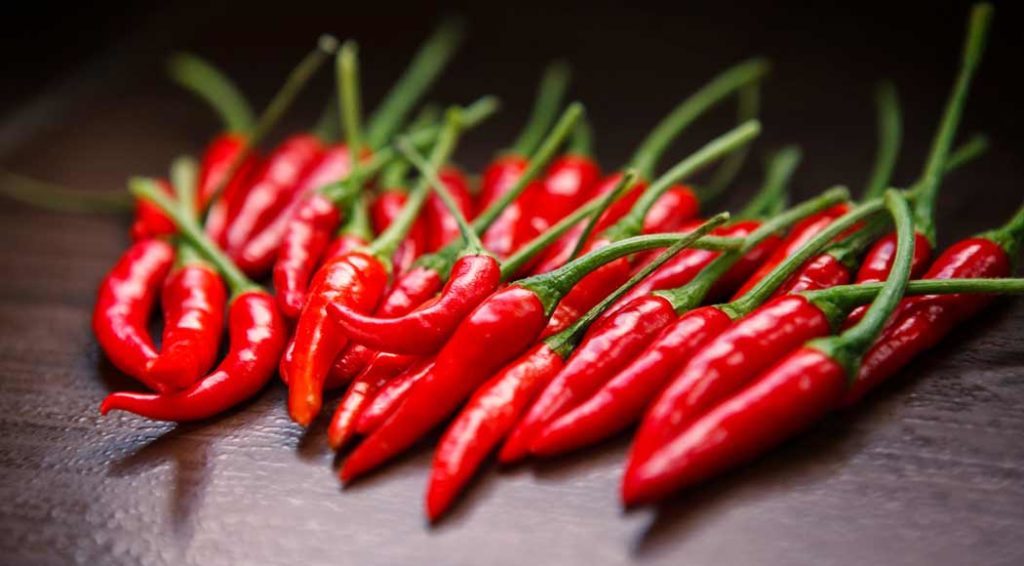 Pimenta malagueta - benefícios, receitas e como plantar