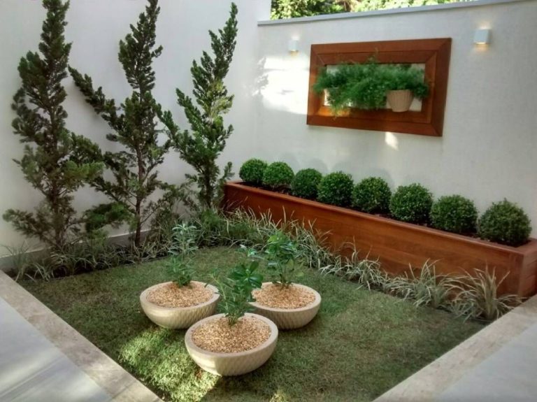 Jardim pequeno: 35 Ideias, como fazer e o que plantar 🌺 2026