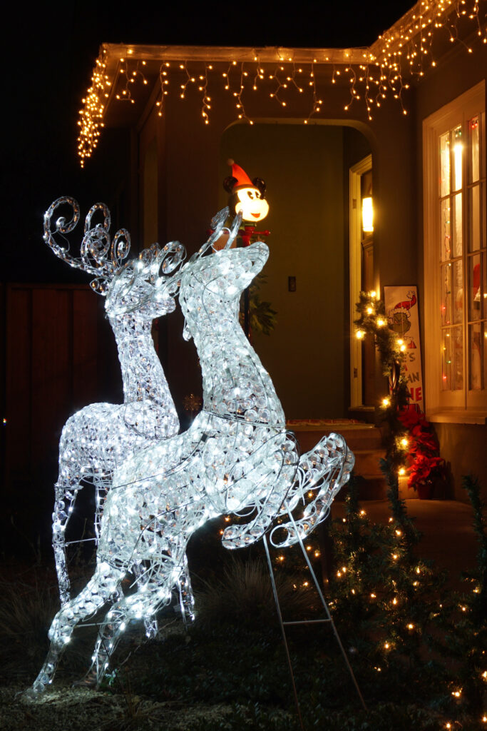 decoração de natal para jardim