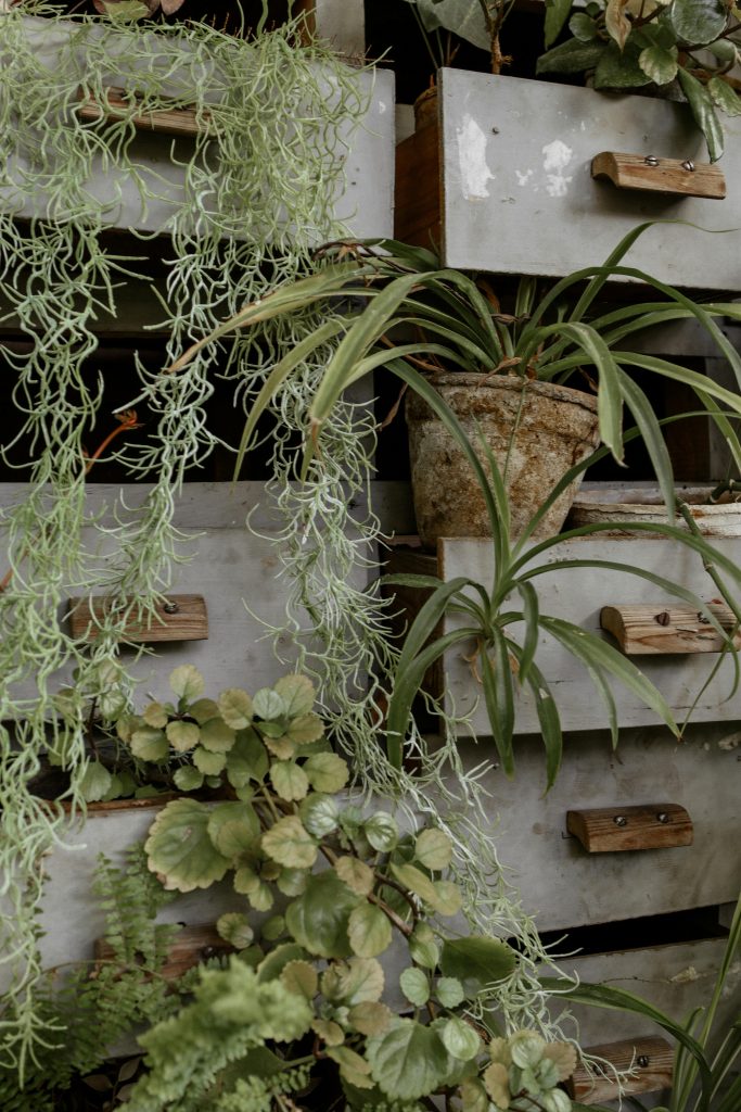 Ideias de paisagismo para jardim