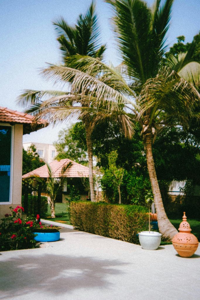 Ideias de paisagismo para jardim